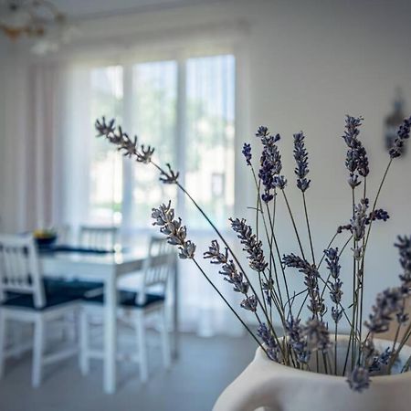 Casa Gu Villa Lido di Camaiore Eksteriør billede